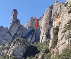 Photographie de TEIXOS, ESCLETXA DELS (1 sur 5)