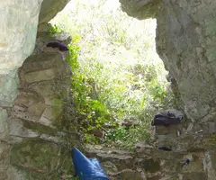 Photograph of DRAC, COVA DEL (3 of 5)