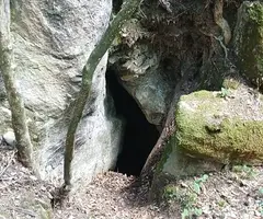 Photograph of CASTELL DE BOIXADER, FORAT DEL (1 of 6)