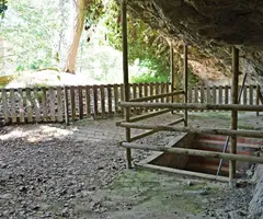 Photograph of RENTADOR DE LA LLANA DEL ROQUER, BALMA DEL (5 of 6)