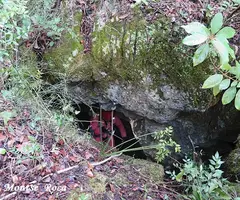 Fotografia de ARBRE, AVENC DE L' (5 de 7)