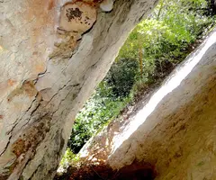 Photographie de FONT FREDA, COVA GRAN DE LA (1 sur 1)
