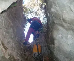 Photographie de PARDINA, GRALLER Nº1 DE LA (5 sur 5)