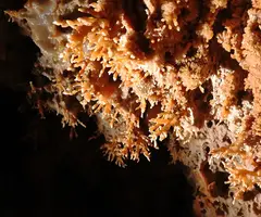 Photographie de FUM, AVENC DEL (7 sur 9)