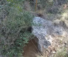 Fotografia de GOSSOS, AVENC DELS (3 de 3)