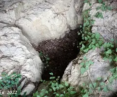 Photographie de GRIMP, AVENC DEL (3 sur 4)