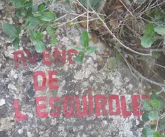 Fotografía de ESQUIROLET, AVENC DE L' (1 de 6)