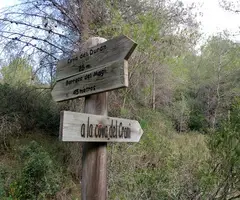 Photograph of DURAN, COVA D'EN (1 of 5)