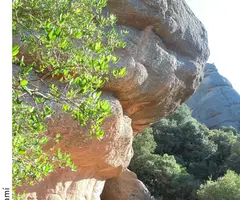 Fotografía de PARTIÓ, COVA DE LA (1 de 2)