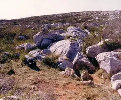 Photographie de BASTÓ, AVENC GRAN DEL (1 sur 1)