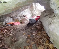 Fotografía de MASSANA, COVA DEL (5 de 9)