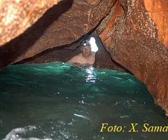 Fotografia de ARGONAUTA, COVA DE L' (2 de 2)