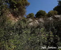 Fotografía de TÚNEL, FORAT DEL (5 de 6)