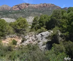 Fotografía de TÚNEL, FORAT DEL (3 de 6)