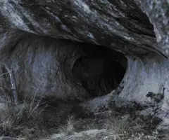 Fotografia de OSSOS, COVA DELS (2 de 2)