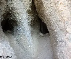Fotografia de COLUMNA, COVA DE LA (2 de 8)