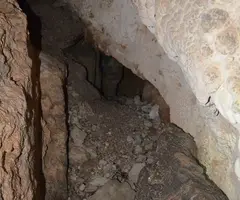 Fotografia de BESTRAL, COVA Nº2 DE (4 de 5)