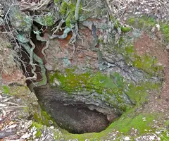 Fotografia de CAN GARRIGOSA, AVENC PETIT DE (1 de 1)
