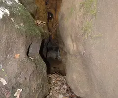 Fotografia de LLAURADOR, FORAT DEL (3 de 3)