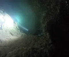 Fotografia de FINESTRA DEL ROMANÍ, COVA DE LA (1 de 4)