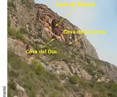 Photograph of DUCS, COVA DELS (1 of 3)