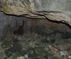 Fotografía de PUIG FRANCÀS, AVENC DE (4 de 7)