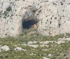 Photographie de NEGRE DE BÓIXOLS, FORAT (2 sur 6)