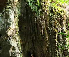 Fotografia de MIRACLE, COVA DEL (3 de 12)