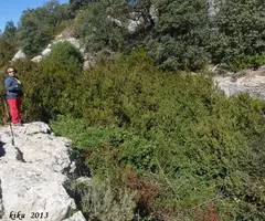 Fotografia de GAVARRERA, AVENC DE LA (1 de 9)