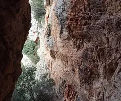 Fotografía de SANTA FE, COVA DE (4 de 12)