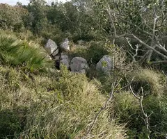 Fotografia de BLUGH'S, AVENC D'EN (1 de 3)