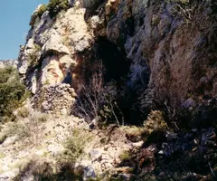 Fotografia de ARXIPRESTE, COVA DE L' (1 de 1)