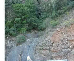 Fotografia de LLADRES, COVA DELS (1 de 3)