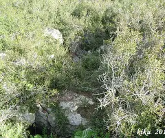 Fotografía de SERP, CAU DE LA (1 de 6)