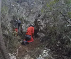 Fotografia de LEIA, AVENC (1 de 10)