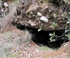 Photographie de MOLINOT, COVA DEL (2 sur 3)