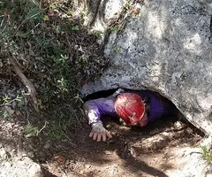 Fotografia de MAS DE LA LLANA, COVA DEL (1 de 5)