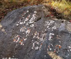 Photographie de GURP, GRALLER DE (8 sur 17)