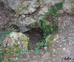 Photograph of FONT DE SANT LLORENÇ, COVA DE LA (4 of 8)