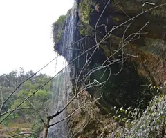 Fotografía de TORRENT D'ESPLUGUES, BALMA DEL (2 de 4)