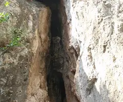 Fotografía de CAN PONÇGEM, COVA DE (3 de 3)