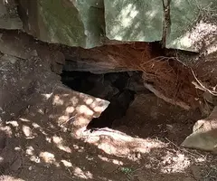 Fotografia de PRAT SOBIRÀ, FORAT PETIT DE (3 de 8)
