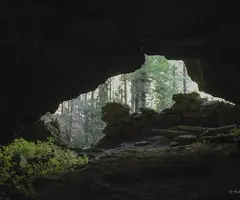 Photographie de ROJA, COVA DE LA (1 sur 1)