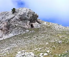 Fotografia de FONTSECA, COVA DE (1 de 4)