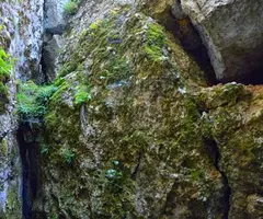 Fotografia de CALAIXOS DE L'ERELDO, COVA DELS (6 de 6)
