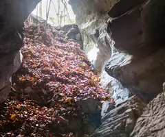 Fotografia de SUST, COVA DEL (4 de 5)