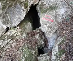 Photograph of SPELEOCORB, AVENC (1 of 3)