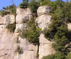 Fotografia de TALPS, COVA DELS (1 de 4)