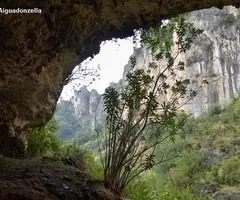 Fotografia de AIGUADONZELLA, COVES D' (3 de 5)