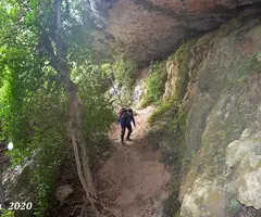 Fotografia de MIRACLE, COVA DEL (1 de 12)
